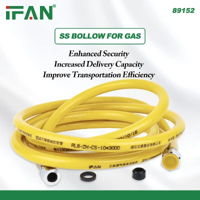 SS Flex Hose Pipe SS Flex Hose Pipe